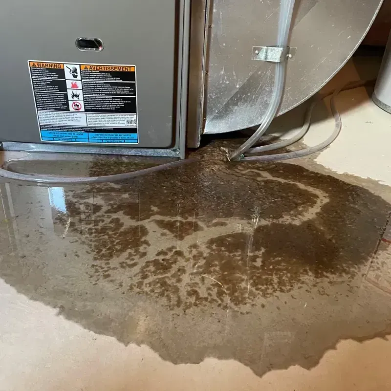 Appliance Leak Cleanup in Parma, OH